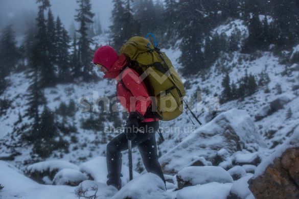 Мембранная мужская куртка Montane Alpine Pro Jacket, Black, M (AP MAPJABLAM2)