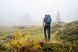 Рюкзак Exped SKYLINE 30, cypress, S/M (7640277847804)