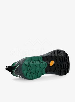 Кросівки Scarpa Rapid GTX, Anthracite/Alpine Green, 43 (8057963158721)