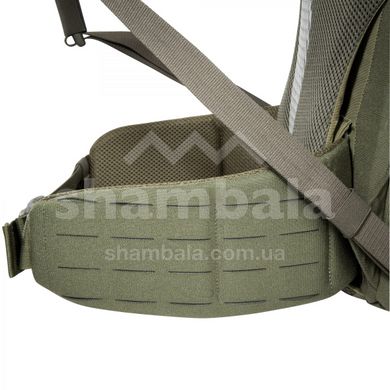 Ремень Tasmanian Tiger Molle Hip belt, Olive (TT 7286.331)