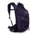 Рюкзак Osprey Salida 12 O/S, Violet Pedals (843820127041) - 2021