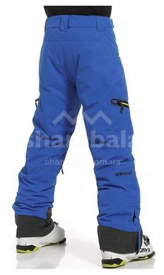 Штаны мужские Rehall Zane 2021, L - reflex blue (60020-3002-L)