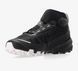 Ботинки мужские Dynafit TRAVERSE MID GTX M, black, 43 (64087/0958 9)