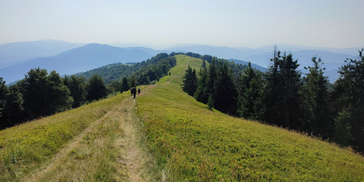 3borzava