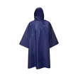 Дождевики