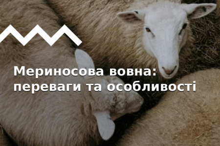Шерсть мериноса: уникальный материал в outdoor-индустрии!