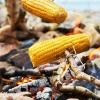 фото мініатюра продукту 2