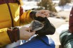 Фото Миниатюра продукта 9