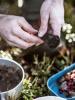 фото мініатюра продукту 7