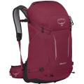 Рюкзак Osprey Hikelite 32, Chameleon/Black, S/M (843820196023) image