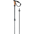 Трекінгові палиці Elan VOYAGER ROD, OC (CD907620) image