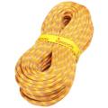 Динамічна мотузка Tendon Smart 10.0 STD, Yellow, 60м (TND D100TS41S060C) image