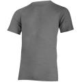 Футболка мужская Lasting BARAN, Grey, L (BARAN-8400L) image
