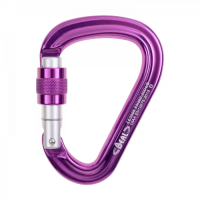 Карабін Beal Be safe screw, Fuchsia (BMCLBS.F)