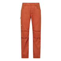 Штаны мужские Salewa AGNER HEMP RIPSTOP PANTS M, 54/2X, Brown (013.012.1712)