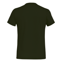 Футболка чоловіча Salewa SOLIDLOGO DRI-REL M S/S TEE, Dark Olive, 54/2X (013.012.1634)