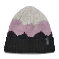 Шапка Black Diamond Vista Beanie, Black/Mulberry/Nickel, One Size (BD 7210109226ALL1)