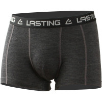 Термошорти чоловічі Lasting NORO, Grey, L (NORO-8169L)