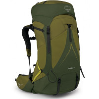 Рюкзак Osprey Atmos AG LT 65 Scenic Valley/Green Peppercorn, S/M (009.3278)