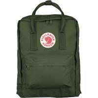 Рюкзак Fjallraven Kanken 16, Forest Green (23510.660)