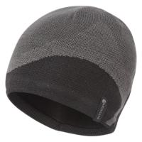 Шапка Montane Logo Beanie, Black, One Size (5056601015818)