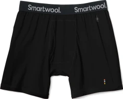 Трусы мужские Smartwool Men's Merino Sport 150 Boxer Brief Boxed, S - Black (SW SW017342.001-S) image