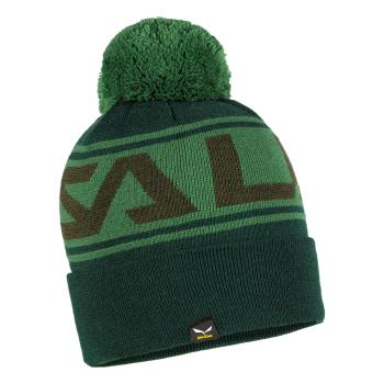 Шапка Salewa Antelao Pom Beanie, Green, UNI/58 (279755320) image