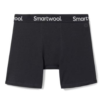 Труси чоловічі Smartwool Men's Active Boxer Brief Boxed, Black, S (SW SW016996.001-S) image