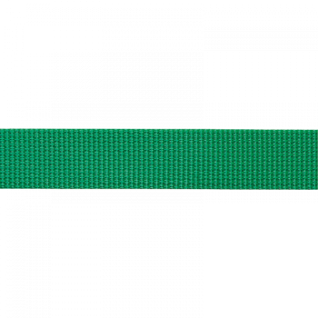 Стропа Beal Flat tape unie на метраж, 26mm, Green (BSP26UNI.100.G) image