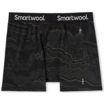 Труси чоловічі Smartwool Merino 150, Black Digital Summit, L (SW SW015151.H19-L) image