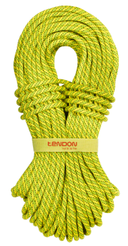 Динамическая веревка Tendon Ambition 9.8 STD, Yellow/Green, 60м (TND D098TR41S060C) image