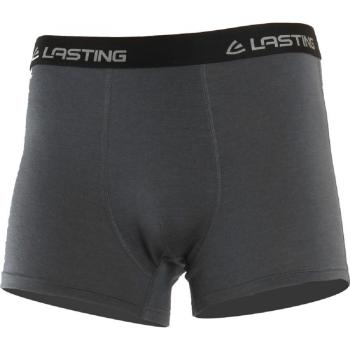Термошорти чоловічі Lasting NORO, Dark Grey, L (NORO-8080L) image