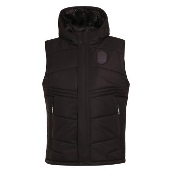 Жилет чоловічий Alpine Pro DARAH, Black, L (MVEY087990 L) image