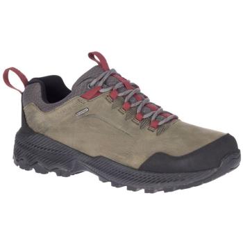 Кросівки трекінгові чоловічі Merrell FORESTBOUND WP Merrell Grey, р.42 (194713181603) image