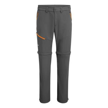 Штани чоловічі Salewa *Iseo Dry M 2/1 PNT, Gray, 54/2X (SLW 26892.0871-54/XXL) image