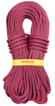 Динамічна мотузка Tendon Ambition 10.5 STD 60 м (TND D105TA41S060C) image