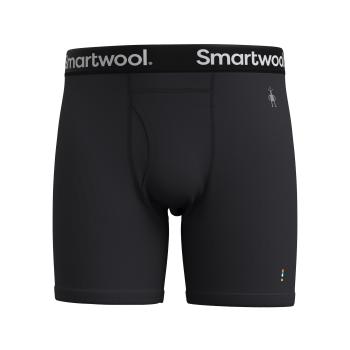Труси чоловічі Smartwool Men's Merino Boxer Brief Boxed, Black, S (SW SW016998.001-S) image