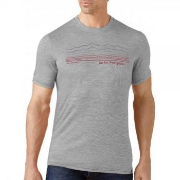 Футболка чоловіча Smartwool GT Slim Fit Striped Logo Light Gray, р. M (SW SF932.039-M) image