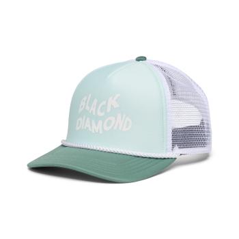 Кепка Black Diamond Flat Bill Trucker Hat, One Size, Foam Green/Laurel Green/White Black Diamond (BD 7230499764ALL1) image