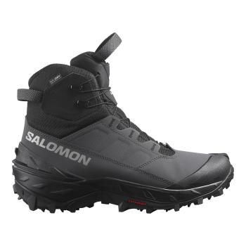 Черевики чоловічі Salomon Crosstrak Powder WP, Asphalt/Black/Sharkskin, 46.7 (SLM CRRKP.475696-11.5) image