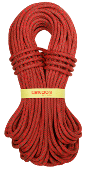 Динамічна мотузка Tendon Ambition 10.0 STD 60 м (TND D100TA41S060C) image