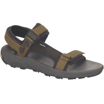 Сандалии мужские Lizard Super Trek, Fir green/Black, 42 (7615523486502) image