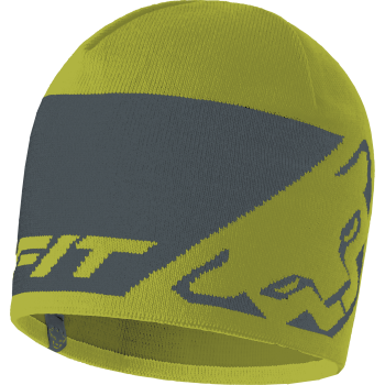 Шапка Dynafit Leopard Logo Beanie, Olive, UNI58 (70512/2881 UNI58) image