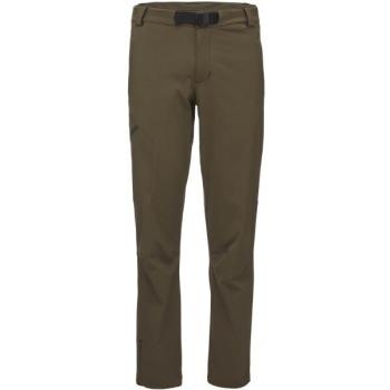 Штани чоловічі Black Diamond Alpine Pants, S - Sergeant (BD G61M.301-S) image