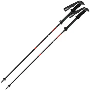 Трекінгові палиці Gabel FR-3 EF, 37-130 см (034.0017) image
