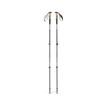 Трекінгові палиці Black Diamond Trail Vista Shock, 100-140 см, Deep Woods (BD 1125613062ALL1) image