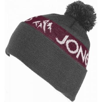 Шапка Jones Team Beanie Grey/Red (JNS VJ160308) image