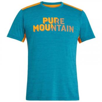 Чоловіча футболка Salewa Puez Hybrid 2 Dry Men's T-Shirt, Blue, 46 / S (273978736) image