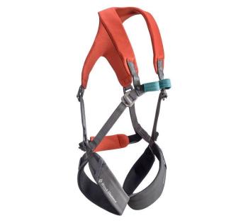 Обв'язка повна дитяча Black Diamond Kids' Momentum Full Body Octane (BD 651089.OCTN) image