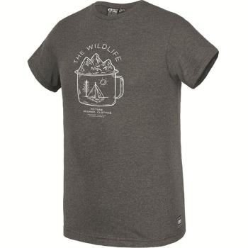 Футболка чоловіча Picture Organic Wild, Anthracite, р. XL (PO MTS632A-XL) image